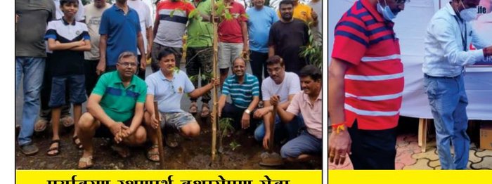 Volunteers planting trees for environmental protection
